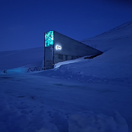 Dank des Permafrostbodens bleiben die Samen im Svalbard Global Seed Vault auch bei einem Ausfall des Kühlsystems gefroren. Bild: NordGen