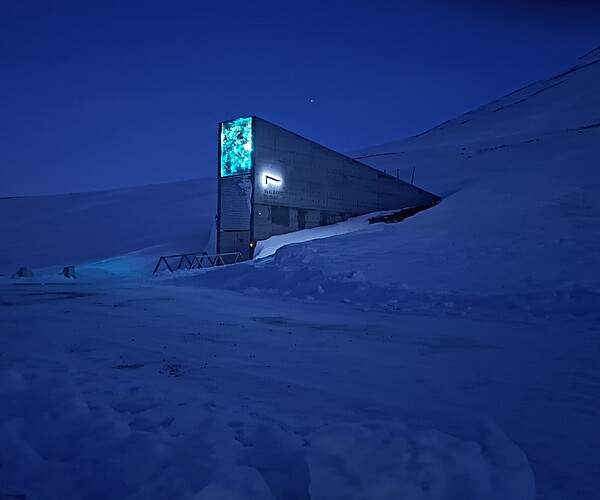 Dank des Permafrostbodens bleiben die Samen im Svalbard Global Seed Vault auch bei einem Ausfall des Kühlsystems gefroren. Bild: NordGen