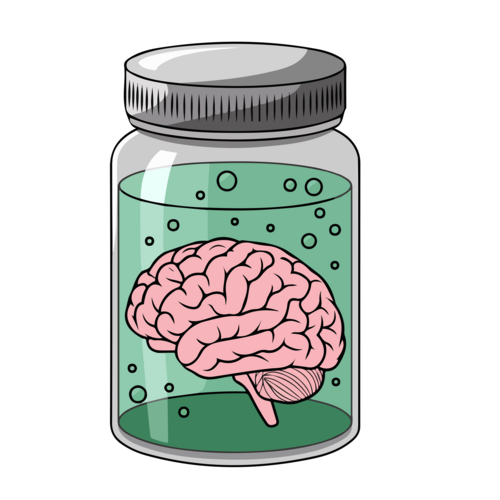 Weisen Hirne von genialen Menschen Besonderheiten auf? Diese Frage stand am Anfang der modernen Hirnforschung. Bild: Adobe Stock / azzedine