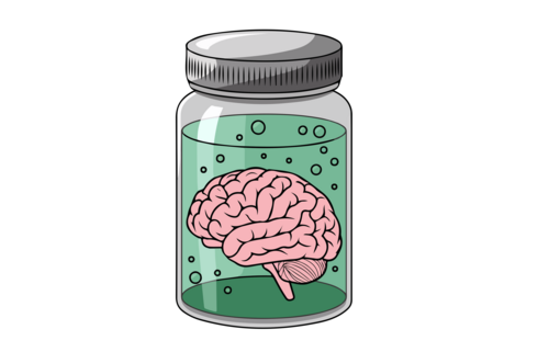 Le cerveau des génies présente-t-il des particularités? Cette question était à l’origine de la recherche moderne sur le cerveau. Image: Adobe Stock / azzedine