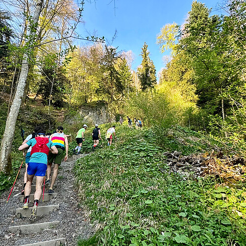 Everesting am Uetliberg: Läuferinnen und Läufer besteigen den Zürcher Hausberg x-mal – im Idealfall bis sie die Höhe des Mount Everest erreicht haben. Bild: X Uetli