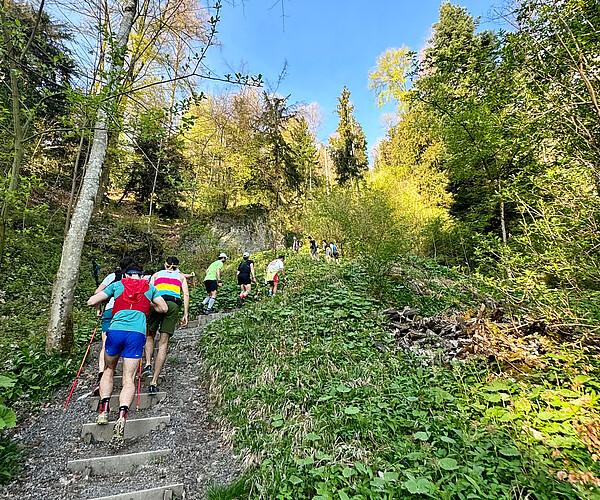 Everesting am Uetliberg: Läuferinnen und Läufer besteigen den Zürcher Hausberg x-mal – im Idealfall bis sie die Höhe des Mount Everest erreicht haben. Bild: X Uetli