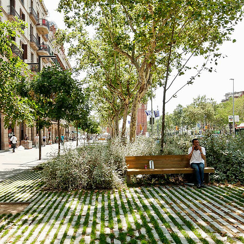 Mittels Entsiegelung städtischer Oberflächen kann das Regenwasser lokal gespeichert werden und bei Hitze verdunsten. Ein gelungenes Beispiel dafür ist der Passeig de Sant Joan Boulevard in Barcelona. Bild: Adrià Goula