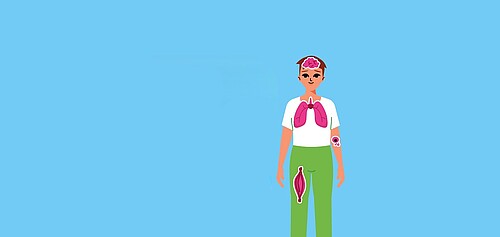 Hirn, Muskeln, Lunge: Seltene Krankheiten beeinträchtigen verschiedenste Körperbereiche und -funktionen. Illustration: kosek