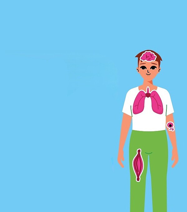 Hirn, Muskeln, Lunge: Seltene Krankheiten beeinträchtigen verschiedenste Körperbereiche und -funktionen. Illustration: kosek