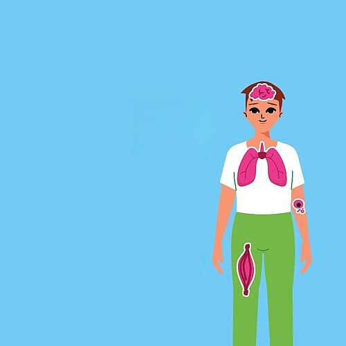 Hirn, Muskeln, Lunge: Seltene Krankheiten beeinträchtigen verschiedenste Körperbereiche und -funktionen. Illustration: kosek