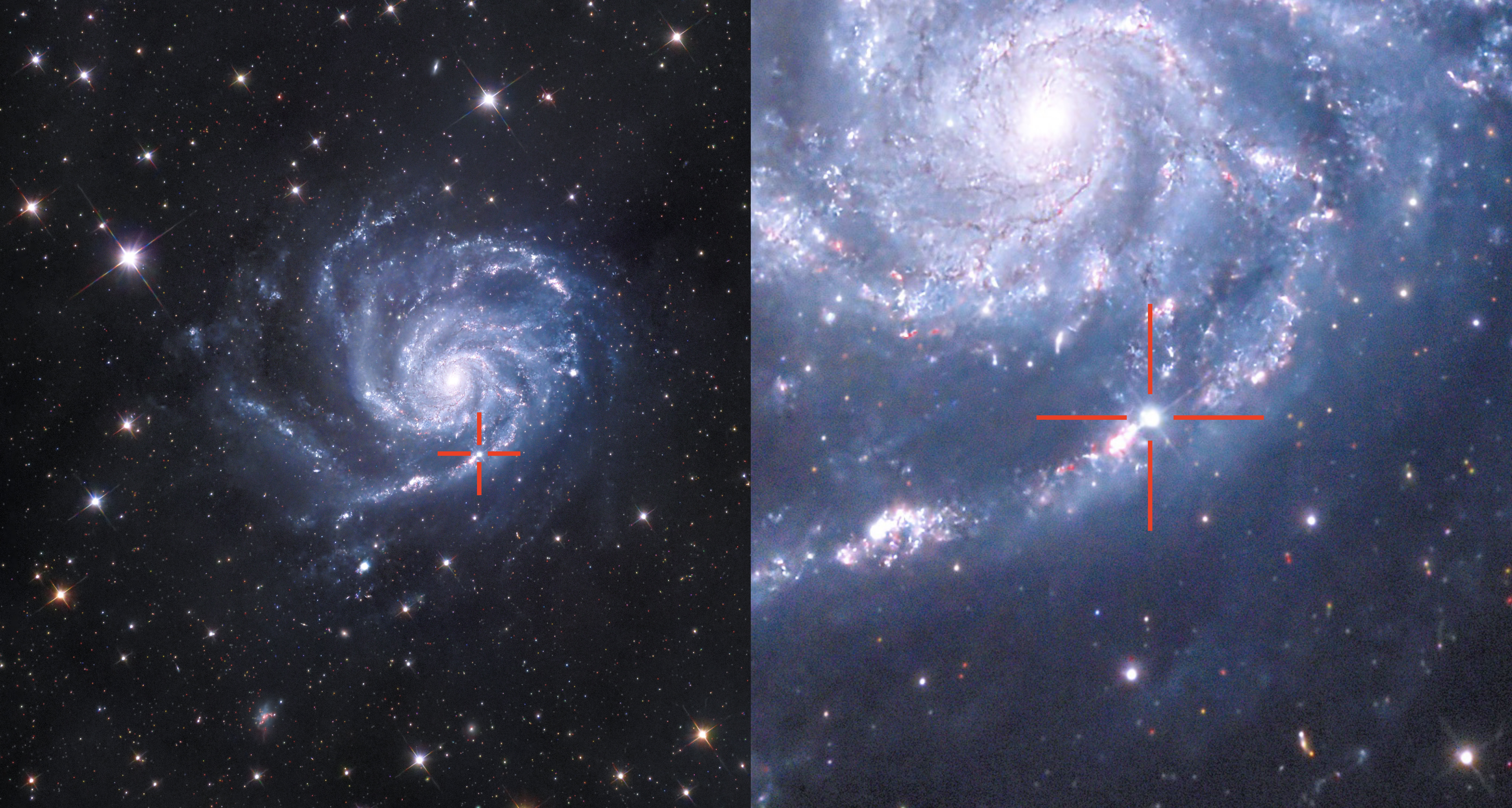 Ein Bild der Galaxie Messier 101 (25 Millionen Lichtjahre entfernt) mit der Supernova 2023ixf, aufgenommen aus einem Garten in Witikon, Mai 2023. Bild: Basilio Noris