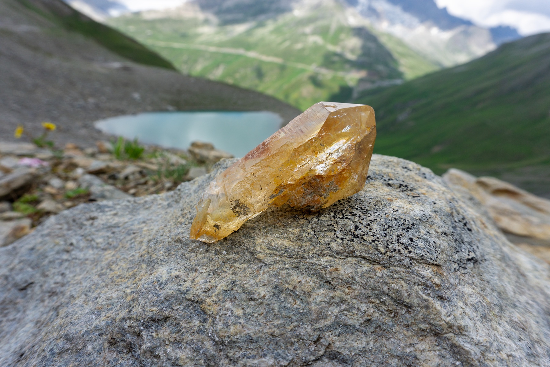 Der Fund des Tages: ein loser, zwölf Zentimeter langer Bergkristall mit Limonit – daher die gelbe Färbung. Bild: zvg