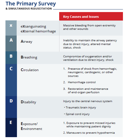 Das xABCDE-Schema bietet Ärztinnen und Ärzten einen systematischen Ansatz zur Identifizierung, Priorisierung und Behandlung lebensbedrohlicher Zustände. Die Einhaltung dieser Reihenfolge verringert das Risiko, Verletzungen zu übersehen, und fördert eine effiziente Beurteilung. Abbildung: ATLS Advanced Trauma Life Support Course Manual (11. Ausgabe)